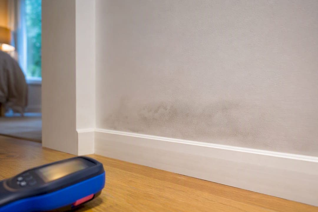Homeowners: Prove a Wall Leak in 20 Minutes Without Cutting